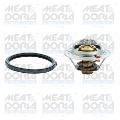 Thermostat, coolant